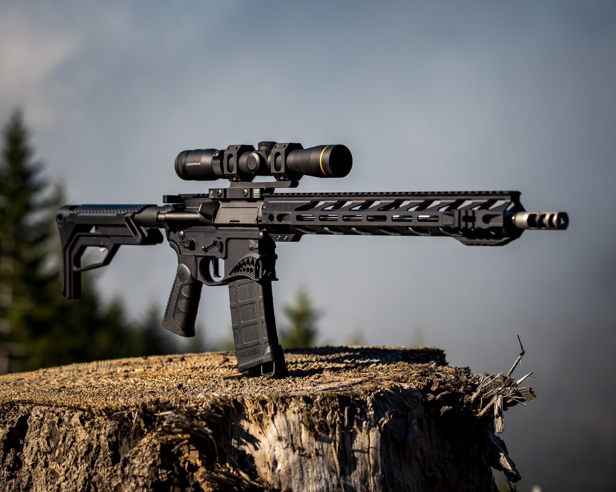 A black AR-15 on top of a tree stump