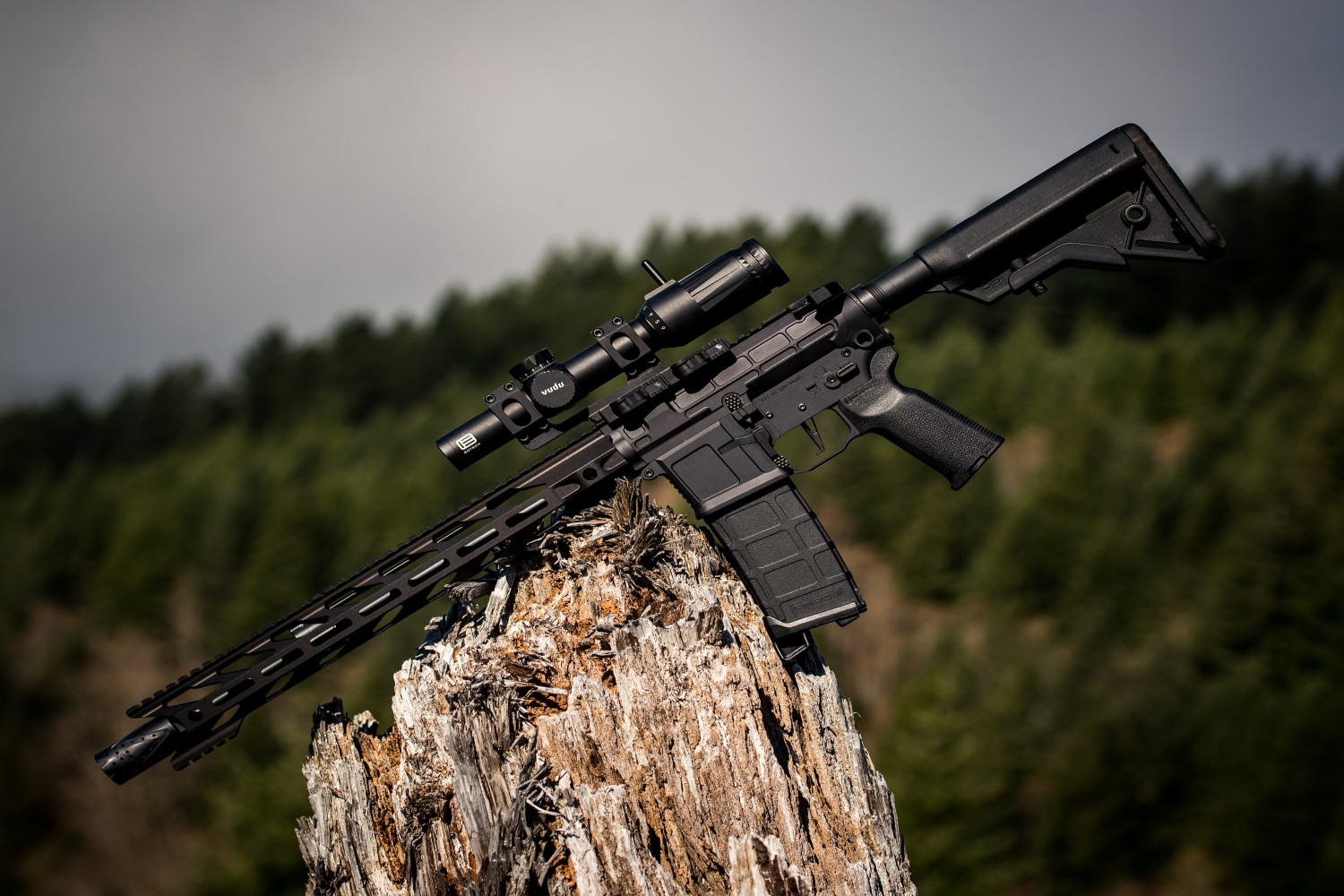 AR-15 gun on tree stump outside